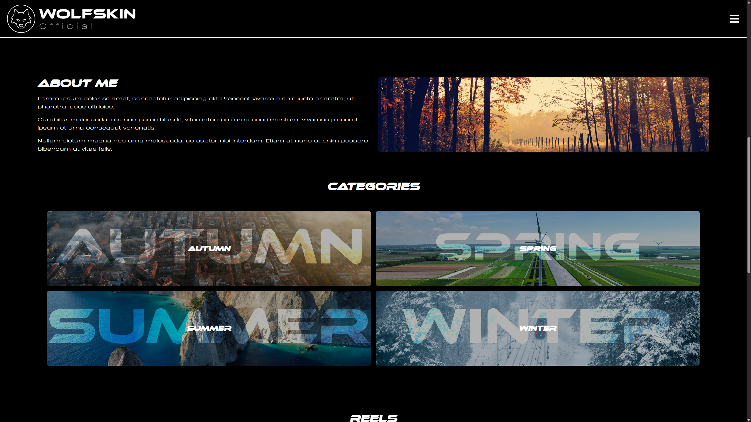 Wolf Skin Photography screenshot 1