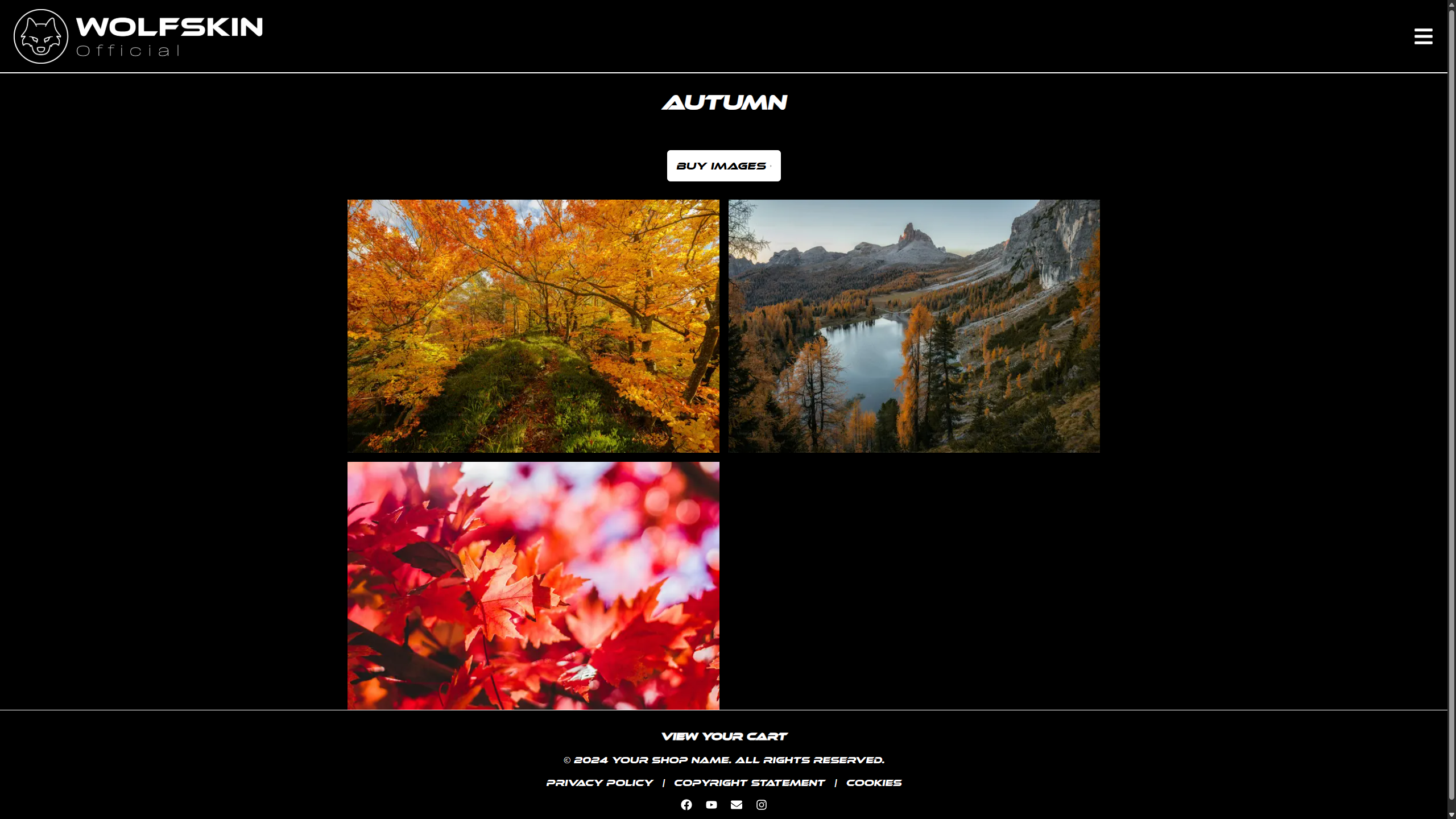 Wolf Skin Photography screenshot 2